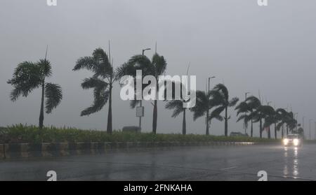 MUMBAI, INDIEN - 17. MAI: Starker Regen und Wind während des Tauktae-Zyklons auf Airoli am 17. Mai 2021 in Mumbai, Indien. Der Zyklonsturm Tauktae bildete sich über dem Arabischen Meer, der sich bis Montagmorgen zu einem sehr schweren Zyklonsturm verstärkte, der in Mumbai böige Winde und heftige Regenfälle verursachte. Starke Winde mit einer Geschwindigkeit von bis zu 90-100 km/h wurden in Mumbai und Nord-Konkan aufgezeichnet. Mehrere Vorfälle entwurzelter Bäume und eingestürzter Gebäude wurden aus der Stadt gemeldet. Als Vorsichtsmaßnahme wurden Tausende von Menschen aus der Küstenregion evakuiert. Raigad ist in Alarmbereitschaft, während Mumbai, Stockfoto