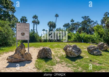 Gary Maidhof Spaziergang zur Natur - Crystal River, Florida, USA Stockfoto