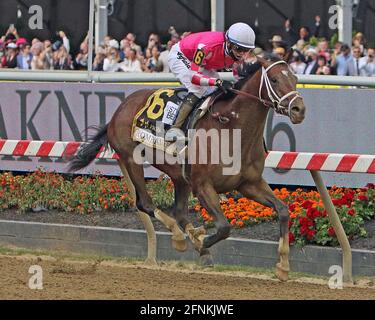 Pimlico Racecourse 14. Mai 2021 Stockfoto