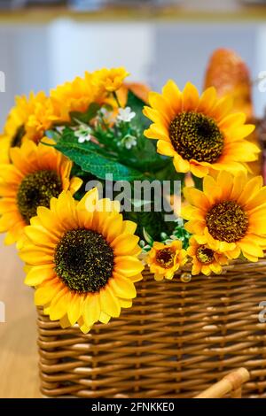 Blühende Sonnenblume Simulation Blume close-up Stockfoto