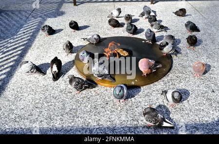 Chicago, Illinois, USA. The Eternal Flame auf dem Daley Center Plaza in Chicagos Loop. Stockfoto