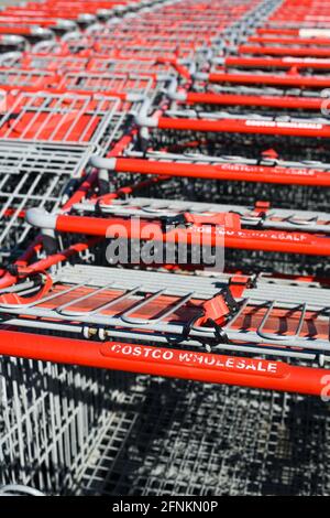 Redmond, WA, USA - 16. Mai 2021; gut abgenutzte Griffe von Costco Wholesale Einkaufswagen in Reihen in der Sonne Stockfoto