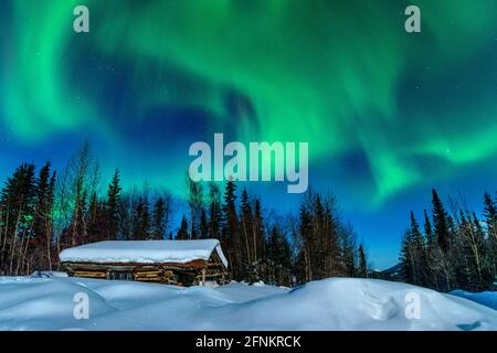 Nordlichter (Aurora Borealis) in Wiseman Dorf oberhalb des Polarkreises aus der Dalton Highway in Alaska. Stockfoto