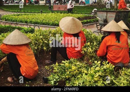 Vietnamesische Frauen Arbeiter Menschen arbeiten im Garten schneiden Zweig Baum und Die Laubpflanze und die Mülldekerei im Hoan Kiem Lake kehrten zurück Sword öffentlicher Park A Stockfoto