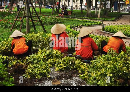 Vietnamesische Frauen Arbeiter Menschen arbeiten im Garten schneiden Zweig Baum und Die Laubpflanze und die Mülldekerei im Hoan Kiem Lake kehrten zurück Sword öffentlicher Park A Stockfoto