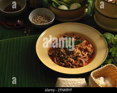 Nahaufnahme von würzigem Schweinesalat (Larb Moo) mit klebrigem Reis, traditioneller thailändischer Küche Stockfoto