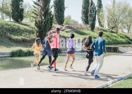 Gruppe von Läufern, die in einem Park trainieren. Rückansicht, zurück zur Kamera. Stockfoto