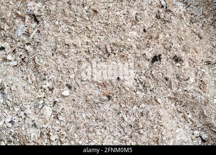 Nahaufnahme von grauer Asche aus dem Aschenbecher eines Holzofens Stockfoto