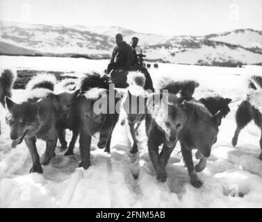 Amundsen, Roald 16.7.1872. - 1928. Juni, norwegischer Forscher, Expedition Südpol 1911, Hundeschlittenfahrt, ZUSÄTZLICHE RECHTE-CLEARANCE-INFO-NOT-AVAILABLE Stockfoto