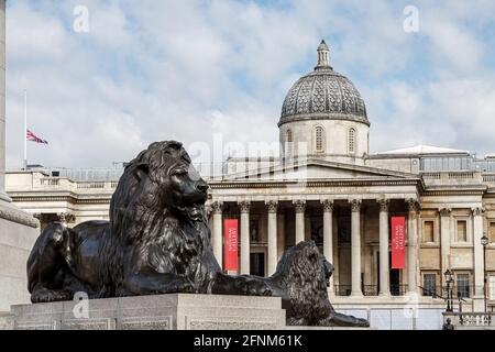 Zwei Bronzelöwen vor der National Gallery, Trafalgar Square, mit der Gewerkschaftsflagge am halben Mast. Stockfoto