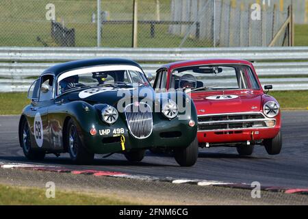 Beide versuchen, Murrays einen Vorteil gegenüber dem Senna Straight zu verschaffen, Marc Gordon, Jaguar XK150, Robyn Slater, Ford Lotus Consul, Ford Lotus Corti Stockfoto