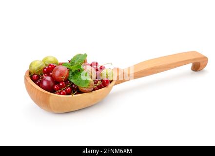 Frische Stachelbeeren und Johannisbeeren in Holzlöffel isoliert auf weiß Hintergrund Stockfoto