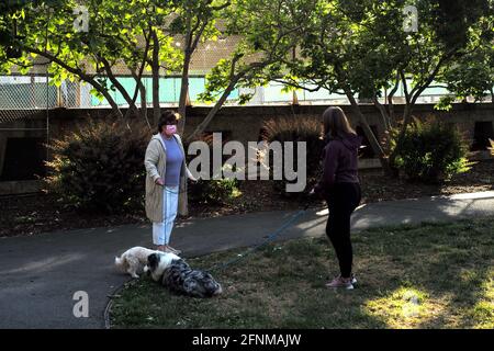 (210518) -- SAN MATEO, 18. Mai 2021 (Xinhua) -- Menschen laufen mit ihren Hunden in einem Park in San Mateo, Kalifornien, USA, 17. Mai 2021. Kaliforniens Gesundheitsbeamte sagten am Montag, dass der bevölkerungsreichste Staat der Vereinigten Staaten vor dem 15. Juni nicht „die CDC-Richtlinien umsetzen würde, die es vollständig geimpften Menschen ermöglichen, in den meisten Situationen ohne Maske zu gehen“. Letzte Woche sagten die US-amerikanischen Zentren für Krankheitskontrolle und Prävention (CDC), dass es für vollständig geimpfte Menschen sicher sei, in den meisten Situationen gesichtsbedeckungen und soziale Distanzierungen zu überspringen, und viele Staaten haben ihre Maskenanforderungen aufgehoben. Stockfoto