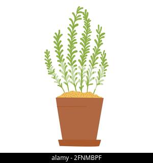 Cartoon Rosmarin im Topf. Isolierte Vektor-Illustration für handgemachte, Postkarte, Druck auf T-Shirt, Aufkleber. Gartenarbeit im Haus Stock Vektor