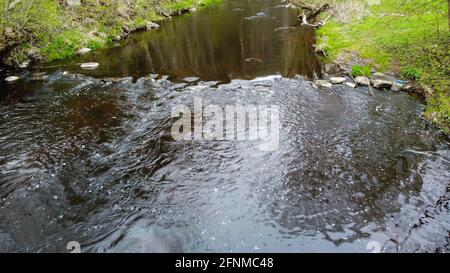 Fluss mit blauem Wasser und Stromschnellen im Wald. Grünes Gras und große Felsbrocken am Ufer. Stockfoto