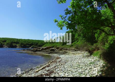 Küste Bulgariens Stockfoto