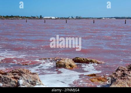 Rosa Salzsee La Salinas de La Mata von Torrevieja, Alicante, Spanien, Europa Stockfoto