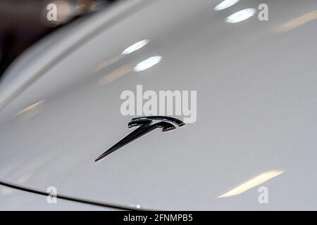 Riga, Lettland, 25. September 2020: Blick auf das Tesla-Firmenlogo auf der Motorhaube des Elektroautos Stockfoto