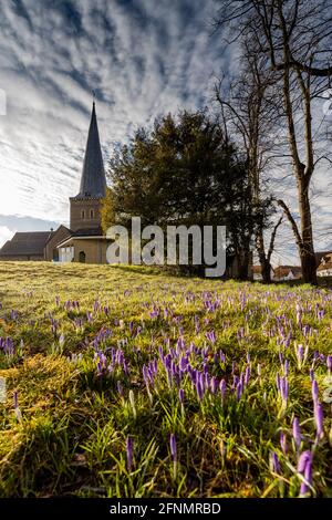 Godalming – Fotografie In Der Umgebung Stockfoto