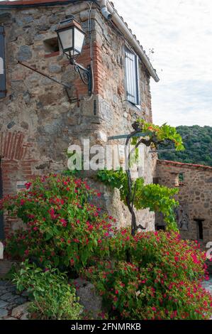 Steinhaus im malerischen Dorf EUS, aufgeführt als eines der schönsten Dörfer Frankreichs, Pyrenees-Orientales (66), Region Ockitanie, Fra Stockfoto