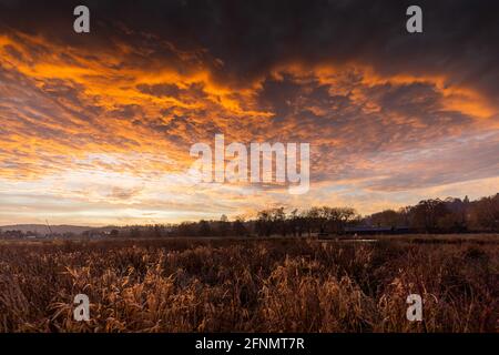 Godalming – Fotografie In Der Umgebung Stockfoto