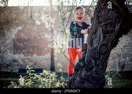 3 Jahre alter Junge, der Spaß daran hat, auf der zu klettern Baum im Park Stockfoto