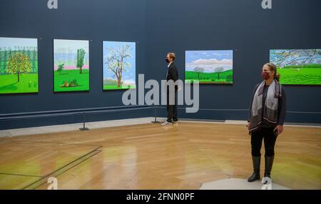 Royal Academy of Arts, London, Großbritannien. 18 Mai 2021. David Hockney: Die Ankunft des Frühlings, Normandie, 2020. Neue Werke von David Hockney RA aus seiner Heimat in der Normandie, die den Verlauf des Frühlings kartographieren. Der Zeitraum, in dem diese Arbeiten durchgeführt wurden, fiel mit dem Beginn der Coronavirus-Pandemie (COVID-19) und der Sperrung zusammen. Die Ausstellung läuft vom 23. Mai bis 26. September 2021. Quelle: Malcolm Park/Alamy Live News. Stockfoto