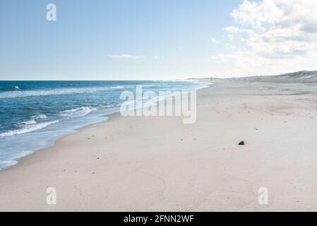 Breiter, wilder Strand mit Sanddünen an einem klaren Herbsttag. Menschen, die am Strand entlang stroolten, sind in der Ferne sichtbar. Stockfoto