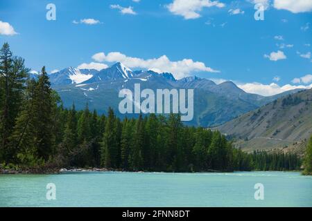 Altai-Berge. Fluss Argut. Wunderschöne Hochlandlandschaft. Russland. Sibirien Stockfoto