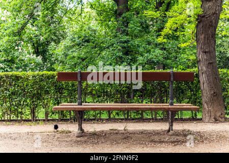 Landschaft mit Bank aus Holz im Schatten der Bäume Stockfoto