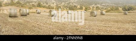 Breites Panorama des landwirtschaftlichen Feldes mit getrocknetem Gras und Heuballen, mediterrane Landschaft mit Bäumen und Hügeln im Hintergrund Stockfoto