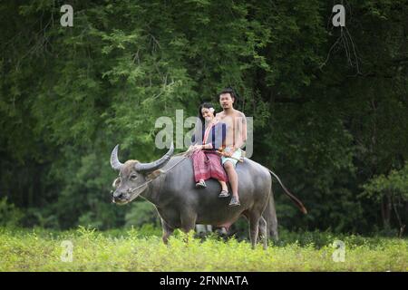 Paar Thai Bauern Familie Glück Zeit auf Büffel auf dem Feld reiten, Thailand Stockfoto