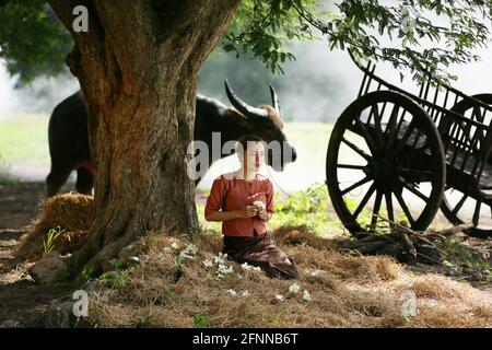 Asiatische Frau in traditioneller thailändischer Kultur, im Feld, im Vintage-Stil Radio auf Büffel und Bauernhof Hintergrund hören Stockfoto