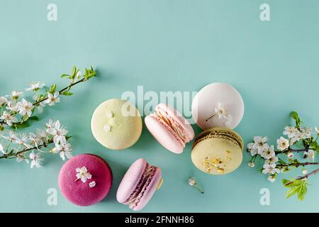 Französische Dessert-Macarons und Frühlingsbaumblüten Stockfoto