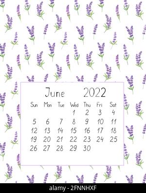 Kalenderseite das Jahr 2022 für Juni Aquarell floral nahtlose Illustration, druckbare Seite, handgezeichnetes Muster von Lavendelblüten der Französischen Provence, Stockfoto