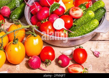 Essen, Ernte, Sommerkonzept. Auswahl an reifen Bio-Bauerntomaten, roten und gelben Tomaten, Gurken, Rettich, Knoblauch und frischen Basilikumblättern. Alter AA Stockfoto