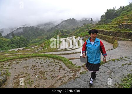 Nanning, China. Mai 2021. (210518) -- NANNING, 18. Mai 2021 (Xinhua) -- Pan Jiping ist auf dem Weg, Patienten im Dorf Xiaozhai der Gemeinde Longji, Bezirk Longsheng, südchinesische Autonome Region Guangxi Zhuang, zu besuchen, 18. Mai 2021. In Xiaozhai, einem Dorf am Fuße des Berges Fupingbao auf über 1,900 Metern Höhe, ist Pan Jiping seit mehr als 30 Jahren Landarzt hier. Pan, 57, gehört zu den Menschen in Hongyao, einem Zweig der Yao-Volksgruppe. 1988 ging Pan zur Gesundheitsschule des Bezirks, um Medizin zu studieren, um die Schwierigkeiten der Dorfbewohner zu lösen, einen Arzt zu sehen. Stockfoto