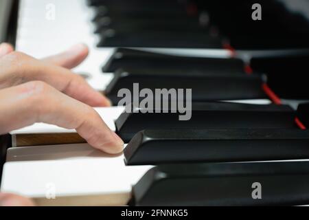 Klaviertasten auf klassischem Flügel - Nahaufnahme der Klaviertastatur für Pianist, Konzert, Musikproduktion und Aufnahmekonzept Stockfoto