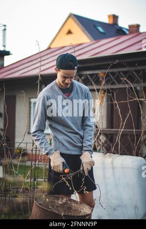 Schwülicher Junge europäischer Abstammung mit Arbeitshandschuhen und Special Gartenschere schneidet Zweige zur späteren Verarbeitung in ein Fass Und brennen auf der Feuertrepfa Stockfoto