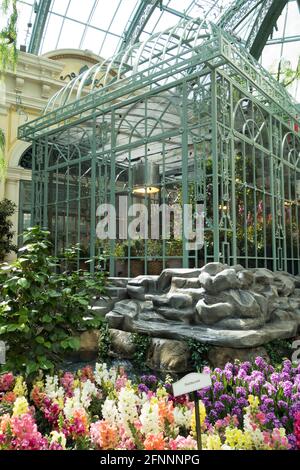 Der Schmetterlingslebensraum im Bellagio Conservatory and Botanical Gardens in Las Vegas, Nevada. Stockfoto