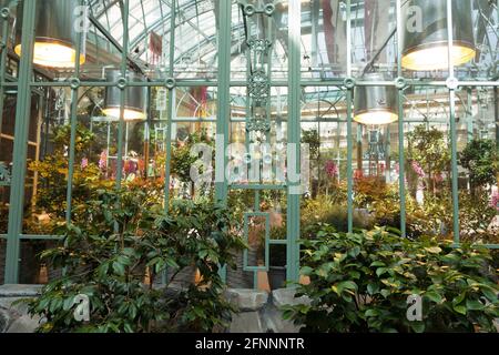 Der Schmetterlingslebensraum im Bellagio Conservatory and Botanical Gardens in Las Vegas, Nevada. Stockfoto