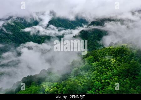 (210518) -- FUZHOU, 18. Mai 2021 (Xinhua) -- Luftfoto vom 17. Mai 2021 zeigt die von Wolken und Nebel umgebenen Berge im Wuyishan-Nationalpark, südöstlich der Provinz Fujian in China. (Xinhua/Jiang Kehong) Stockfoto