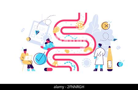 Darmflora mit guten und schlechten Bakterien Stock Vektor