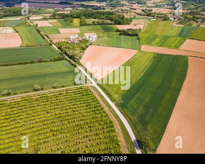 Luftaufnahme der Straße zwischen Feldern und Hügeln mit Plantagen und kleinen Hainen unter bewölktem Himmel in Serbien. Stockfoto