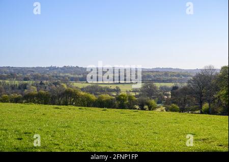 Blick am frühen Morgen auf die Landschaft von West Sussex im Frühling mit Weiden, Ackerland und Wäldern in der Nähe von Haywards Heath, England. Stockfoto