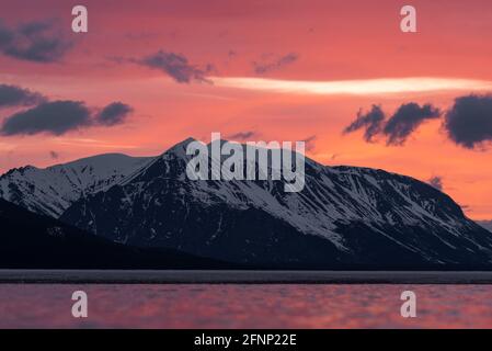 Atemberaubender Sonnenuntergang über schneebedeckten Berggipfeln im Norden Kanadas im Frühling mit violetten, pfirsichfarbenen und rosafarbenen Farben in natürlicher, wilder Umgebung. Stockfoto