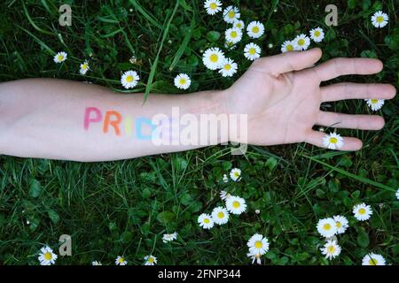 Arm eines Mannes, der mit dem Wort Stolz in den Farben der lgtbi-Flagge gemalt wurde, der sich über einen Rasen voller Gänseblümchen erstreckte. Stockfoto