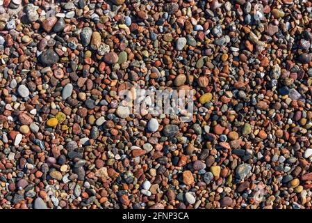Textur aus bunten Kieselsteinen, die an einem sonnigen Tag am Strand liegen. Stockfoto