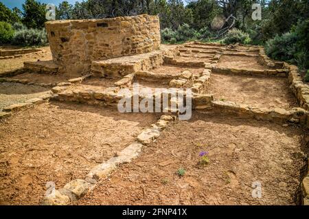 Cedar Tree House im Mesa Verde National Park, Colorado Stockfoto