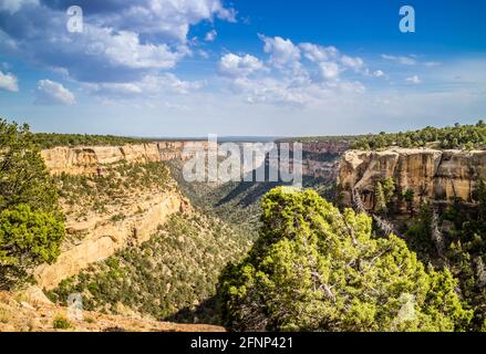 Felsige Landschaft des schönen Mesa Verde National Park, Colorado Stockfoto